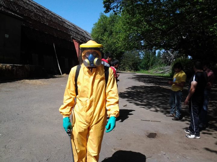 Plaguicidas Oct 2011